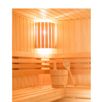 Holzsauna Espe waagrecht  mit Fronteinstieg waagrecht